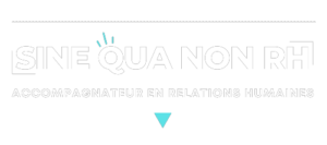 Logo - Sine Qua Non RH - BLANC - NEW rect1